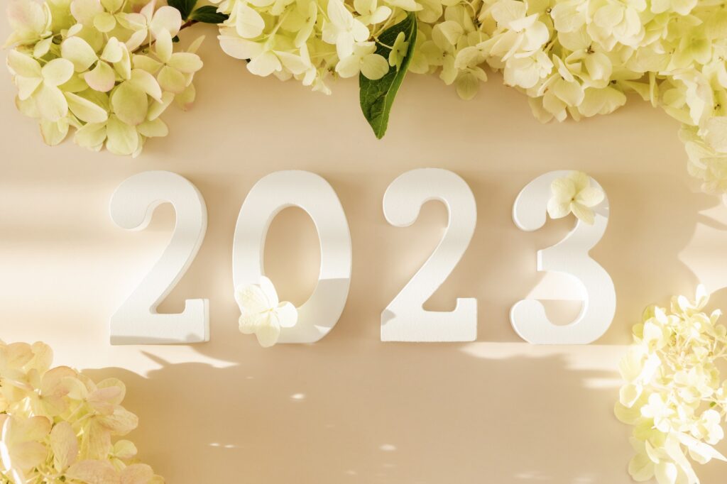 White wooden number 2023 on pastel beige background with flowers. Happy New Year 2023.
